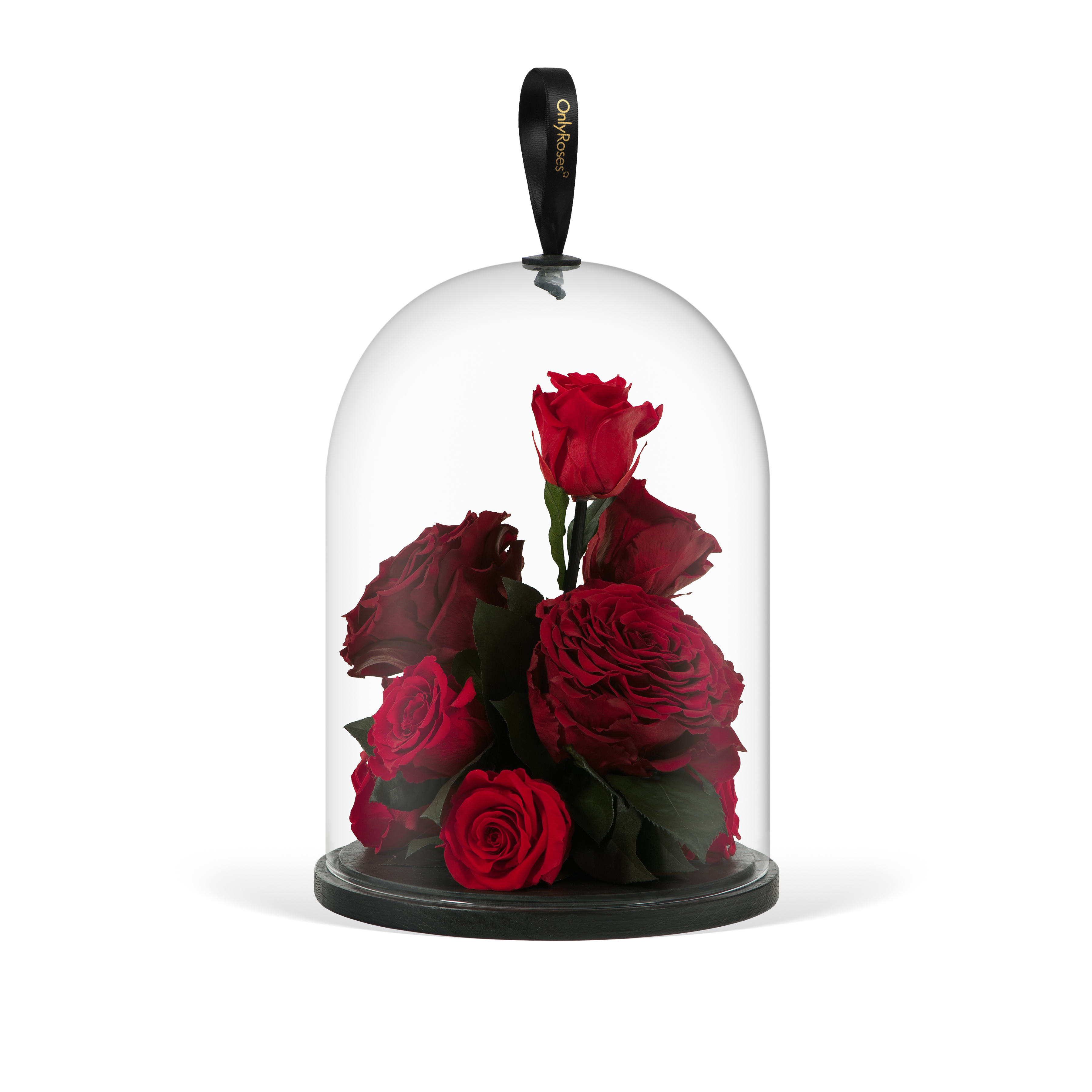 Infinite Rose Jewel OnlyRoses Roses Delivered throughout Dubai